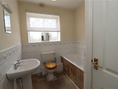 Picture 8